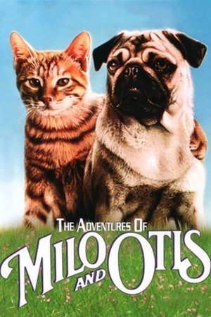 Watch Free The Adventures of Milo and Otis (1986)