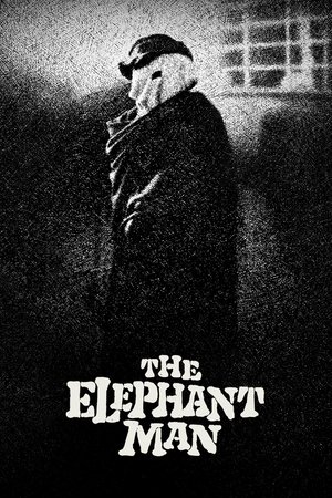 Watch Free The Elephant Man (1980)