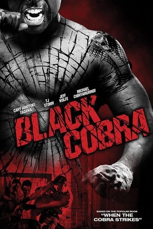 Watch Free Black Cobra (Video 2012)