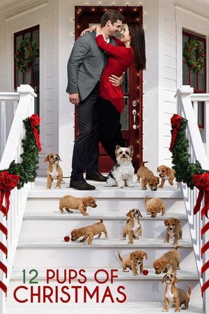 Watch Free 12 Pups of Christmas (2019)