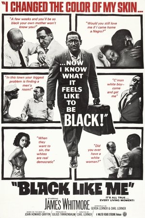 Watch Free Black Like Me (1964)