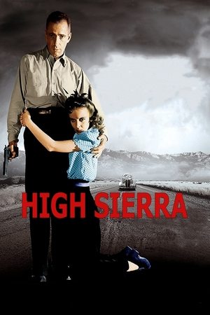 Watch Free High Sierra (1941)