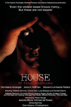 Watch Free House of Flesh Mannequins (2009)
