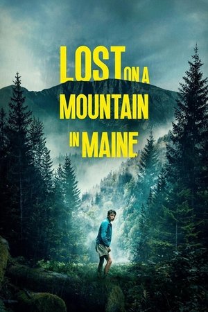 Watch Free Lost on a Mountain in Maine (2024)