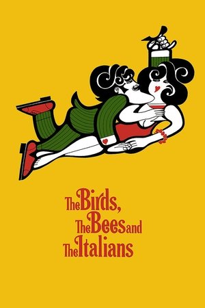 Watch Free The Birds, the Bees and the Italians (1966)