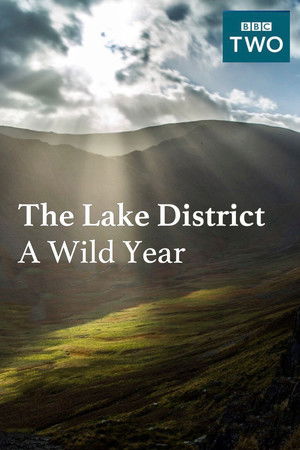Watch Free The Lake District A Wild Year (2017)