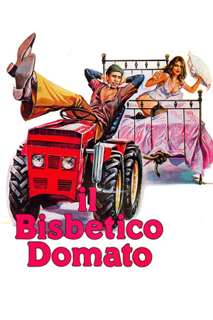 Watch Free The Taming of the Scoundrel (1980)